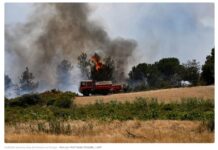 Calor extremo alimenta incêndios florestais na Europa