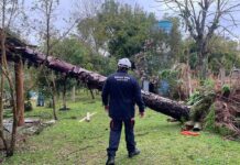 Defesa Civil reconhece situação de emergência em 17 municípios do RS