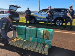 PM prende traficante com mais de 150 kg de maconha durante operação no interior