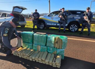 PM prende traficante com mais de 150 kg de maconha durante operação no interior