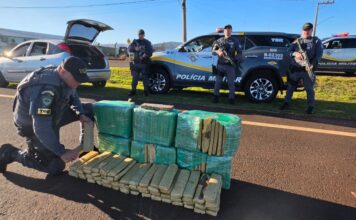 PM prende traficante com mais de 150 kg de maconha durante operação no interior