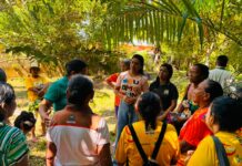 Prefeitura de Parintins prepara a implantação de hortas comunitárias nos CRAS União e Vila Amazônia para fortalecer segurança alimentar