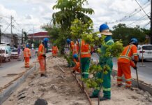 Prefeitura de Manaus avança na revitalização da avenida Margarita e transforma importante espaço público na zona Norte