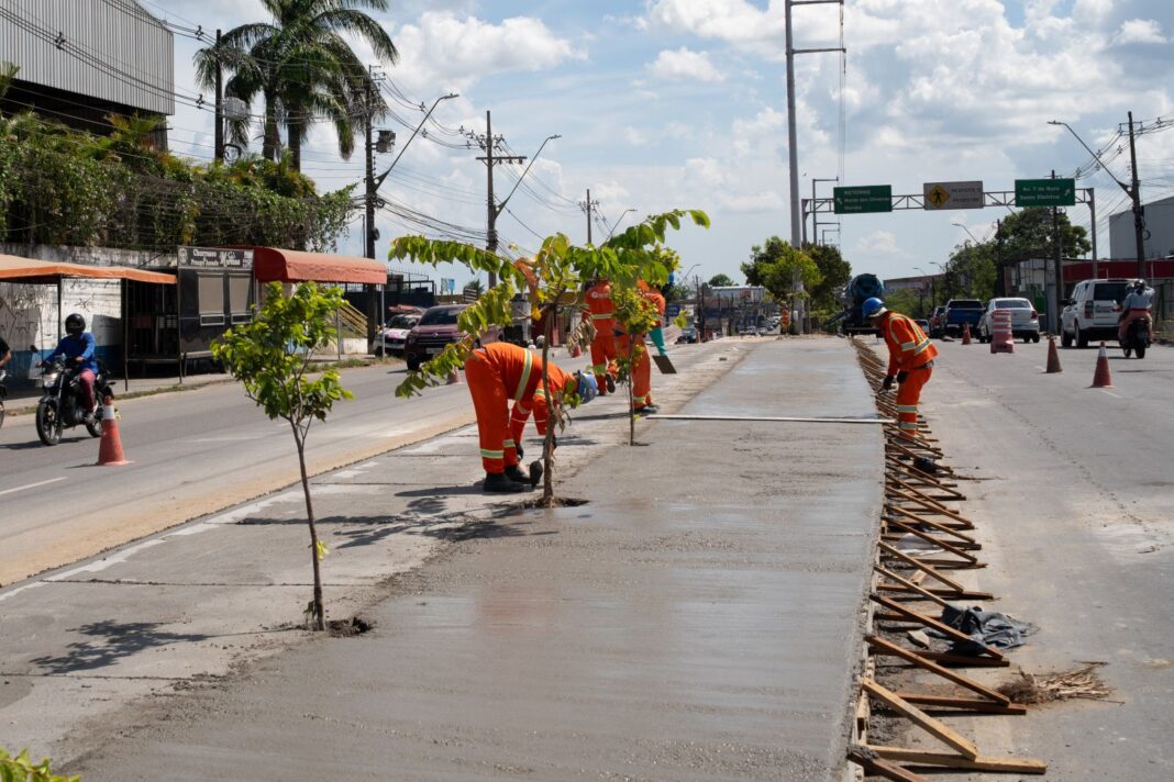 Obra canteiro avenida Margarita 2