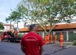 Podagem preventiva no entorno da CMM reforça segurança de servidores, comerciantes e pedestres