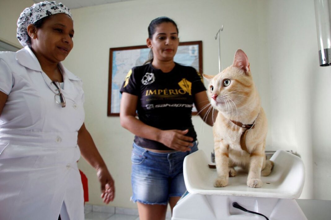 SEMSA MANAUS Agenda Castração 3º Trimestre (4)