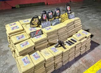 Base Arpão 2: Forças de Segurança apreendem mais de 600 quilos de skunk e causam prejuízo de R$ 29,6 milhões ao crime organizado
