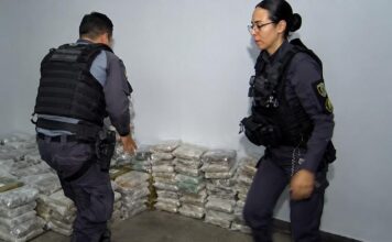 Polícia apreende 774 tabletes de maconha no bairro Cidade de Deus