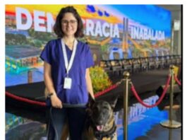 Morre veterinária atacada por cachorro no canil da Polícia do Senado