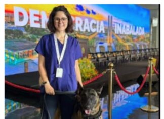 Morre veterinária atacada por cachorro no canil da Polícia do Senado