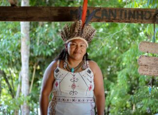 Festival AMÁ conecta saberes amazônicos, inovação e empreendedorismo em Novo Airão