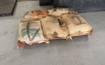 Investigação da Polícia Civil leva à apreensão de 702 kg de cocaína escondidos em carga de café