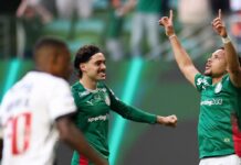 Palmeiras goleia Vasco e volta a abrir frente no Brasileirão: 4 a 1