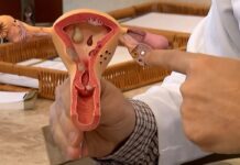 Aberta chamada pública para pesquisas sobre endometriose