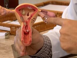 Aberta chamada pública para pesquisas sobre endometriose