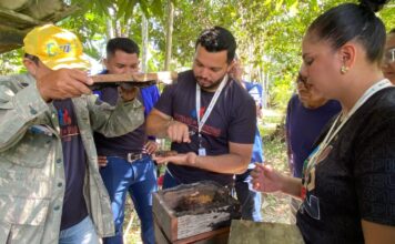 Alta da meliponicultura leva Prefeitura de Parintins a promover capacitação à equipe técnica