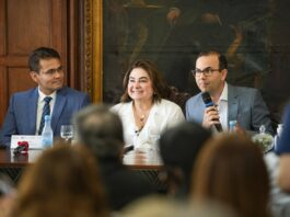 Professora Maria do Carmo apresenta prévia de plano de governo em encontro com comerciantes do Estado
