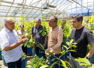 Omar quer transformar produtos da floresta em nova riqueza do Amazonas