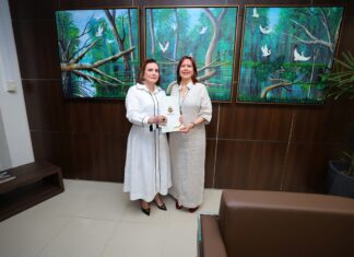 Presidente do TCE-AM entrega à Justiça Eleitoral relação de gestores com contas irregulares