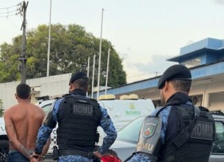 Guarda Municipal prende indivíduo com mandado em aberto e resgata ave silvestre na capital