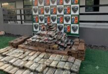 Polícia apreende mais de 500 kg de skank em carreta em Parintins