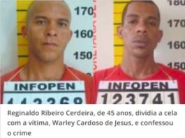 Detento mata colega acusado de abusar de mulher trans e mutila órgão genital dele em presídio de MG