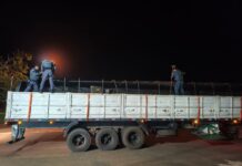 PM Rodoviária apreende mais de 1,8 tonelada de maconha escondida em carga de arroz