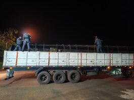 PM Rodoviária apreende mais de 1,8 tonelada de maconha escondida em carga de arroz