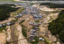 Seca na Amazônia atingiu 38% das áreas habitadas no último El Niño