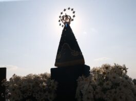 Dino manda PF investigar disseminação de ataques a imagens católicas