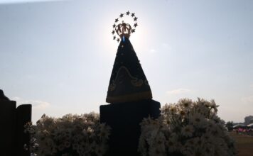 Dino manda PF investigar disseminação de ataques a imagens católicas