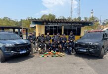 Atuação da cadela Zaya da Guarda Municipal de Manaus leva à apreensão de 30 quilos de entorpecentes em operação integrada