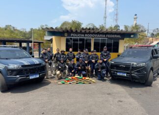 Atuação da cadela Zaya da Guarda Municipal de Manaus leva à apreensão de 30 quilos de entorpecentes em operação integrada