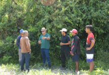 Prefeitura de Parintins realiza escoamento da safra de melancia do Laguinho