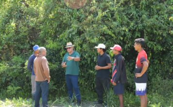 Prefeitura de Parintins realiza escoamento da safra de melancia do Laguinho
