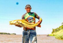 Prefeitura de Parintins apoia realização da 30ª Festa do Peixe Liso na comunidade São José do Paraná do Espírito Santo de Cima