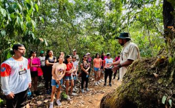 Adolescentes do NUCA participam de “Trilha, Clima e Saúde” no Parque Ecológico das Castanheiras