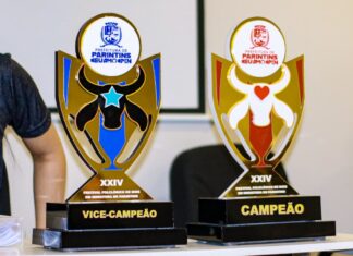 Prefeitura de Parintins promove 24º Festival de Bois em Miniatura, que consagra Mini Garantido campeão