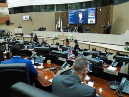 Câmara Municipal de Manaus aprova projeto que prevê licença para servidoras com endometriose