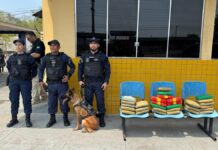 PRF apreende 30kg de drogas dentro de ônibus na zona Sul de Manaus