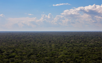 Estudo mapeia áreas prioritárias para efetivação do Código Florestal