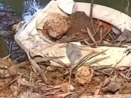 Choro no lixo faz moradores encontrarem cena assustadora no interior de SP