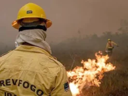 Focos de incêndio no Amazonas diminuem após ação de força-tarefa