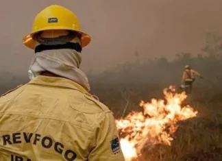 Focos de incêndio no Amazonas diminuem após ação de força-tarefa