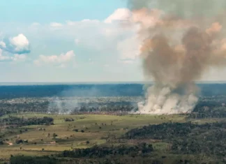 Incêndios avançam sobre o oeste do Pará e deixam ar insalubre