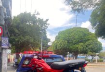 Guarda Municipal de Manaus atua em ocorrências com prisão, apreensão de motocicletas e resgate de animais