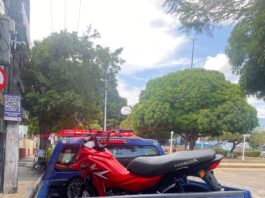 Guarda Municipal de Manaus atua em ocorrências com prisão, apreensão de motocicletas e resgate de animais