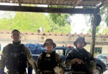 Guarda Municipal de Manaus resgata sucuri em situação de maus-tratos na zona Norte