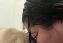 O amor que cura: como os cães revolucionam a saúde mental e transformam vidas
