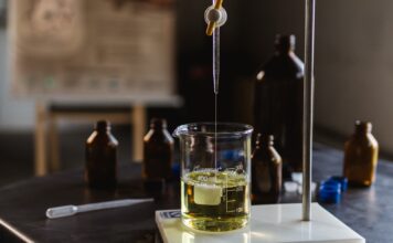Desafio Bioinovação Amazônia seleciona dez tecnologias para transformar biodiversidade em produtos e novos negócios